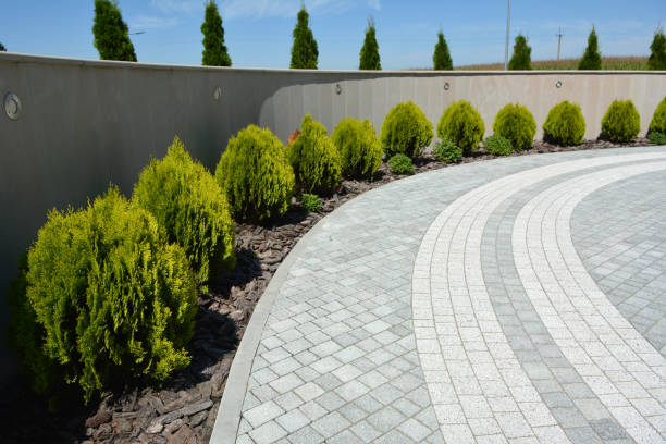 Best Local Driveway Pavers  in Absecon Highlands, NJ